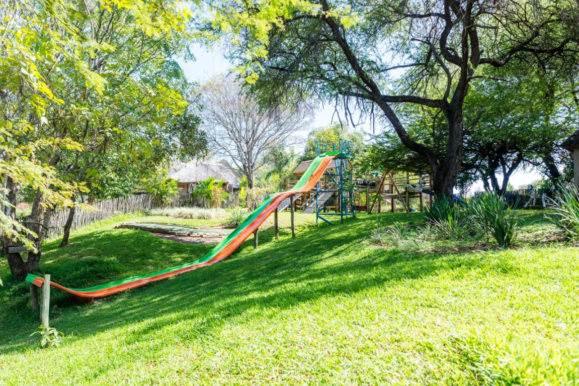 DSC0723-scaled (Medium)