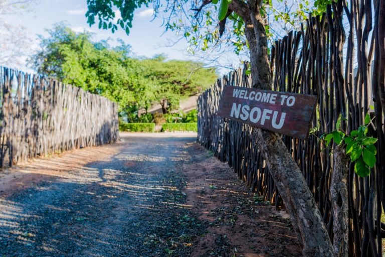 DSC0969-scaled (Medium)