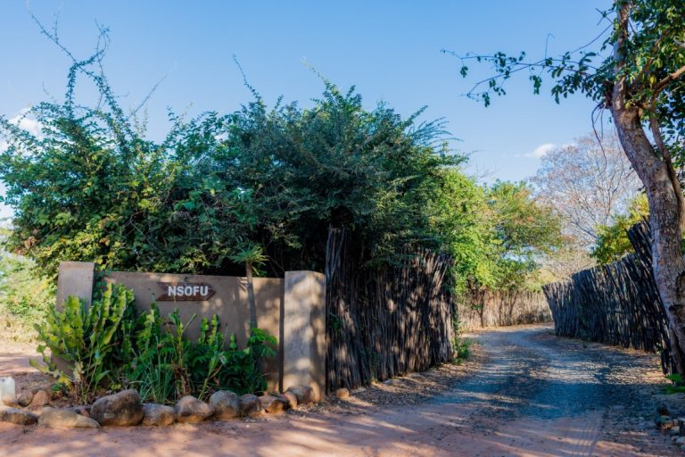 DSC0977-scaled (Medium)