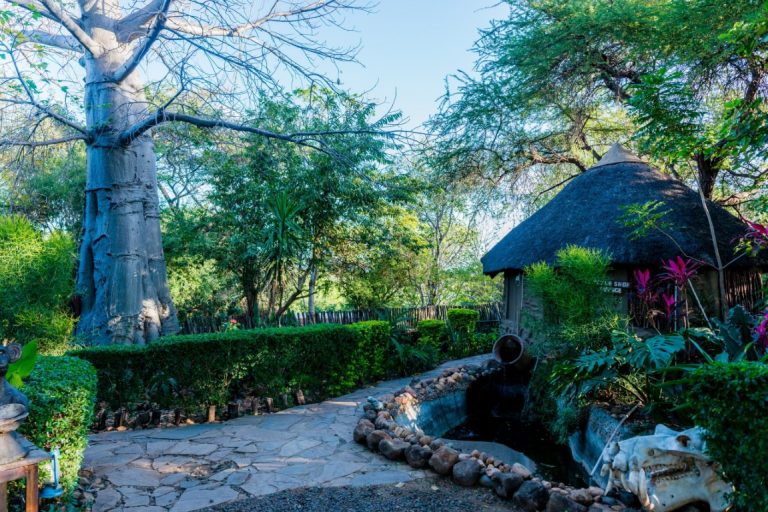 DSC0981-scaled (Medium)