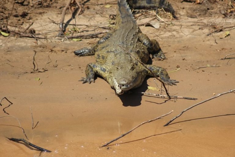 New-Gallery-12 (Medium)