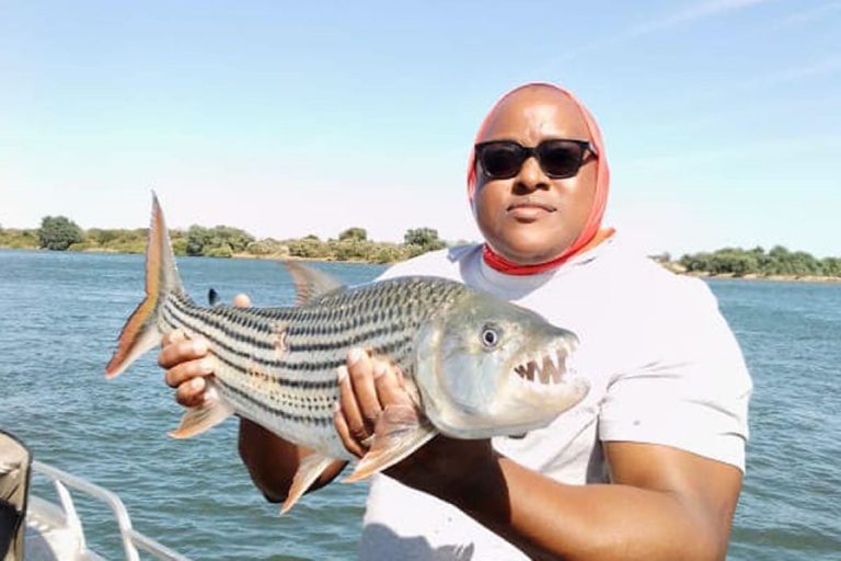 New-Gallery-7 (Medium)