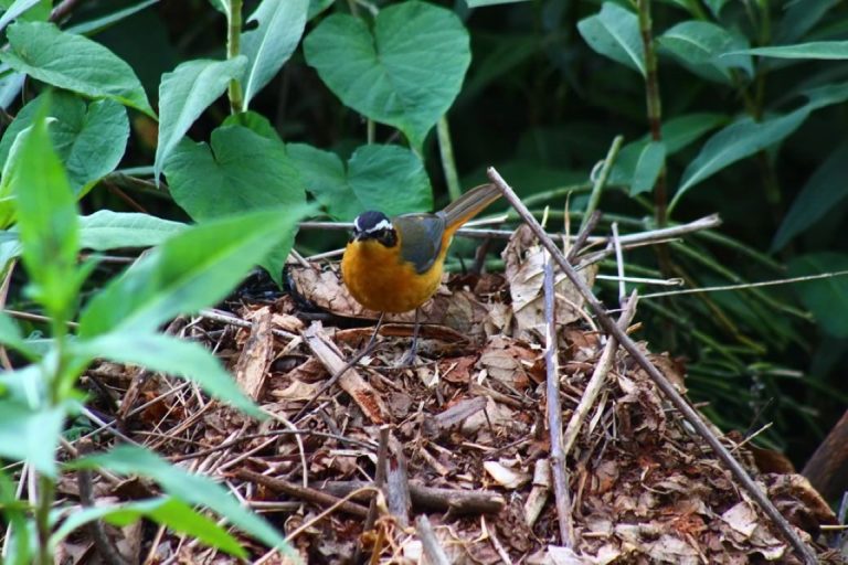 New-Gallery-9 (Medium)